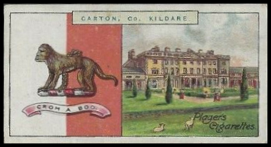 Carton, Co. Kildare